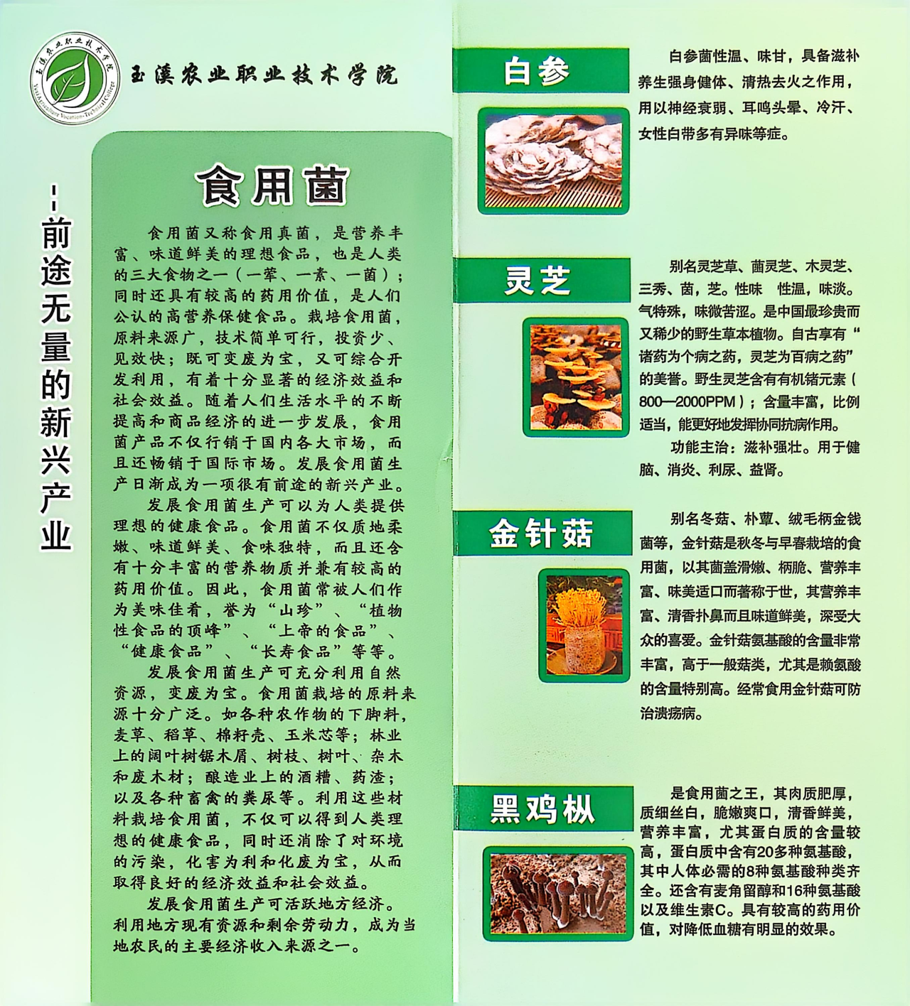 微信圖片_20250310201058.png